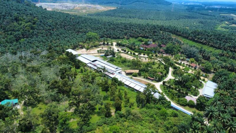 Untuk Dijual - Sungai Kob Kulim