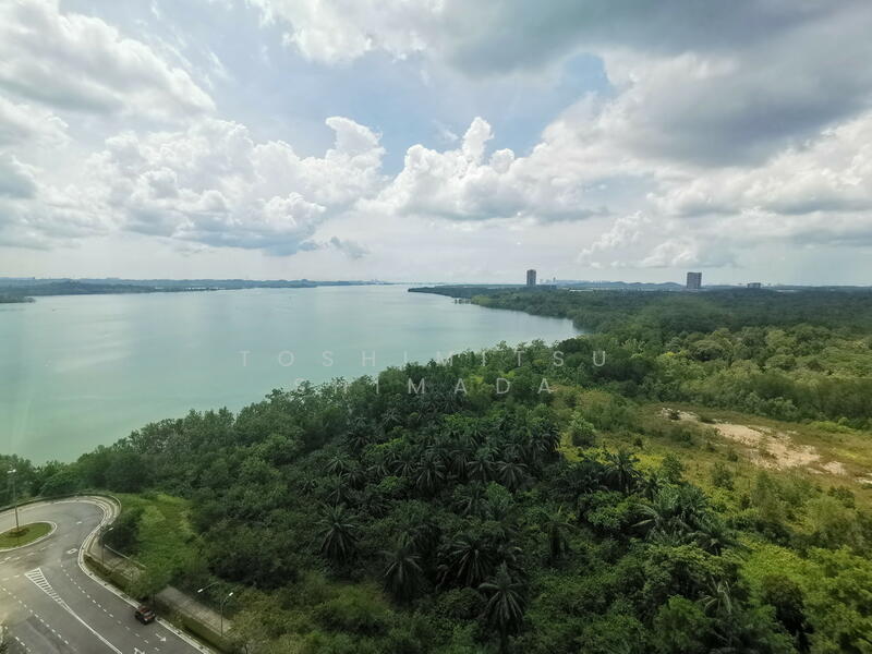 View