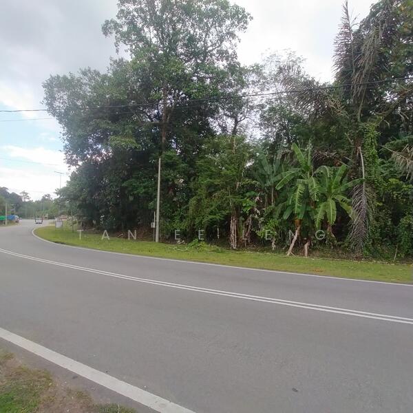 Agricultural Land for Sale in Kampung Baru Simpang Dangi (Johol) - Tan Ee Leng - Exterior - PropertyGuru.com.my
