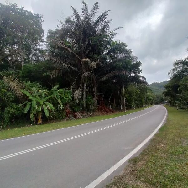Agricultural Land for Sale in Kampung Baru Simpang Dangi (Johol) - Tan Ee Leng - Exterior - PropertyGuru.com.my