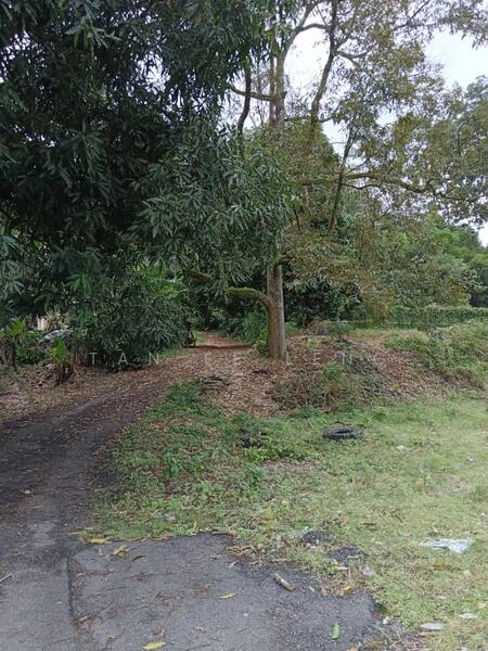 Agricultural Land for Sale in Kampung Baru Simpang Dangi (Johol) - Tan Ee Leng - Exterior - PropertyGuru.com.my