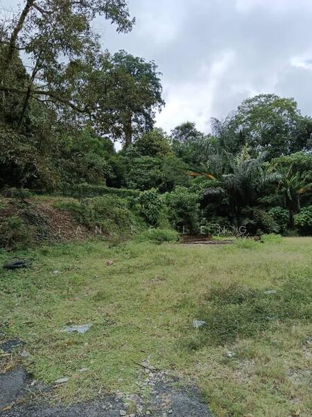 Agricultural Land for Sale in Kampung Baru Simpang Dangi (Johol) - Tan Ee Leng - Exterior - PropertyGuru.com.my