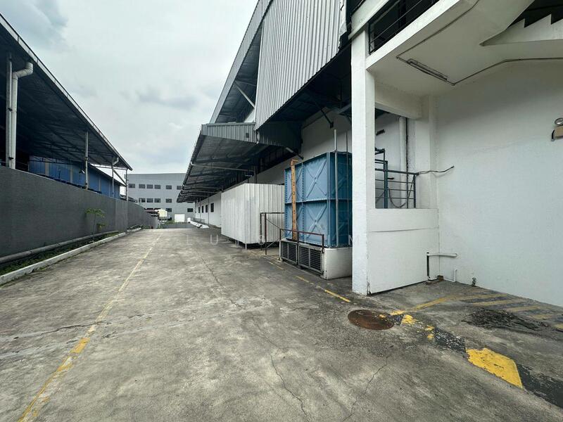 Untuk Disewa - Tampoi Tampoi Tampois