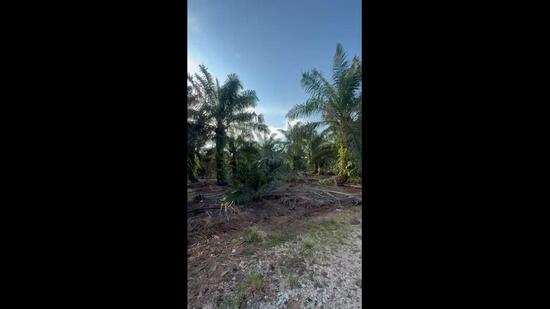 Agricultural Land for Sale in Kampung Parit Selangor Lama (Pontian) - Vinna Loh - PropertyGuru.com.my