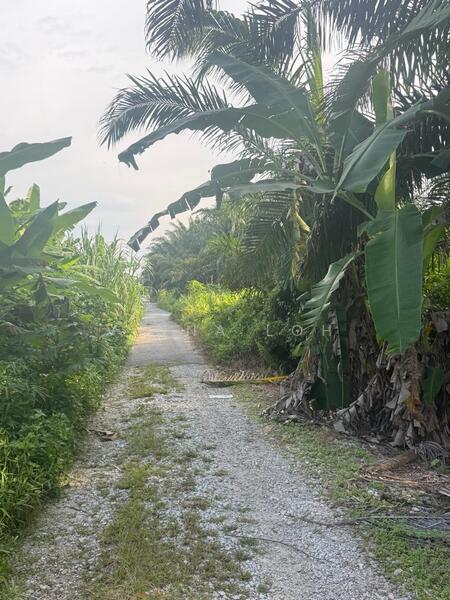 Agricultural Land for Sale in Kampung Parit Selangor Lama (Pontian) - Vinna Loh - Exterior - PropertyGuru.com.my