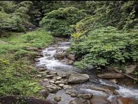 For Sale - Janda baik