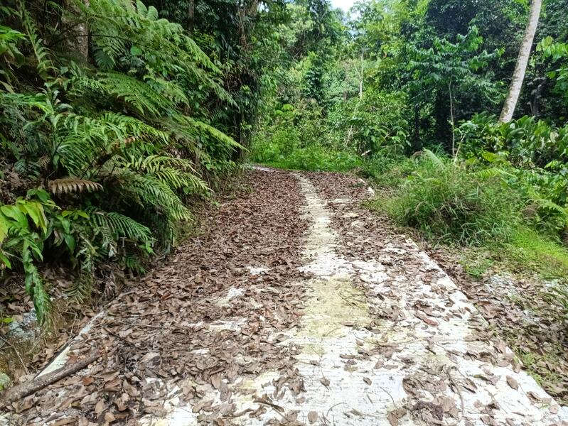 For Sale - Sungai Bil