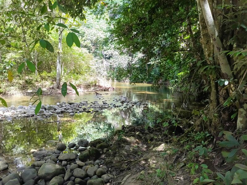 For Sale - Sungai Bil