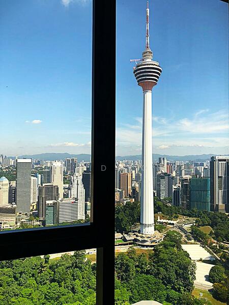 View from the living room