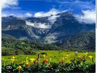 For Sale - kota kinabalu Ranau Kundasang