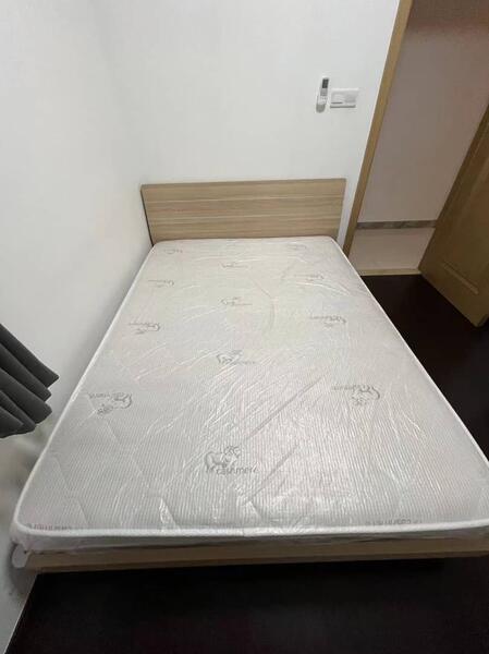 For Rent - R&F Princess Cove Phase 1