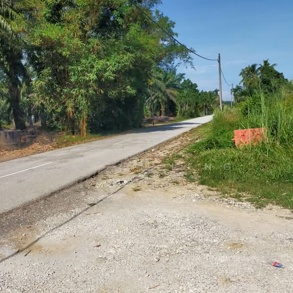 Tanah Pertanian untuk Dijual di Kampung Permatang (Kuala Selangor) - Tan Ee Leng - PropertyGuru.com.my