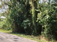 For Sale - Jalan Ampang Tambun, Ipoh, Perak Tambun