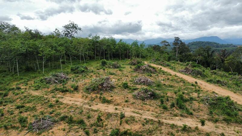 (Freehold, Berbukit)Tanah Pertanian 5.22 Ekar di Kg Peradong, Kuala Klawang, Jelebu, Negeri Sembilan untuk Untuk Dijual - RM 438,000, Apr 2026 - Exterior - PropertyGuru.com.my