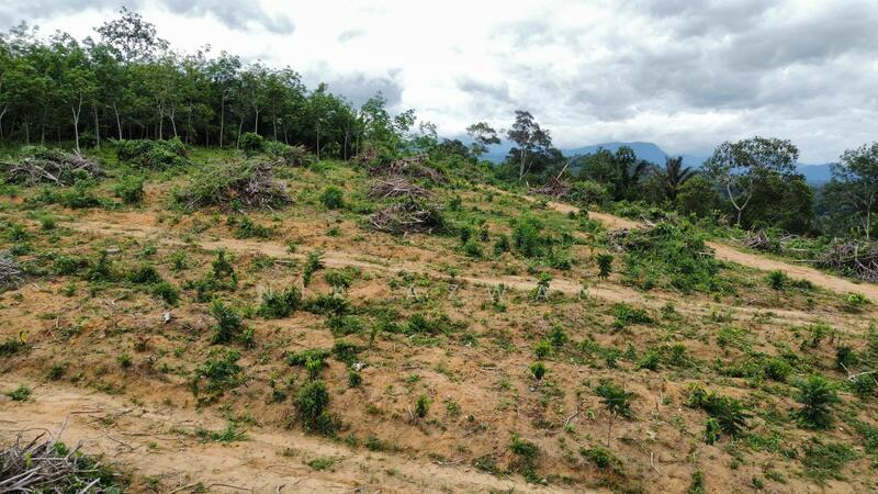 (Freehold, Berbukit)Tanah Pertanian 5.22 Ekar di Kg Peradong, Kuala Klawang, Jelebu, Negeri Sembilan untuk Untuk Dijual - RM 438,000, Apr 2026 - Exterior - PropertyGuru.com.my