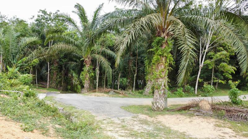 (Freehold, Berbukit)Tanah Pertanian 5.22 Ekar di Kg Peradong, Kuala Klawang, Jelebu, Negeri Sembilan untuk Untuk Dijual - RM 438,000, Apr 2026 - Exterior - PropertyGuru.com.my