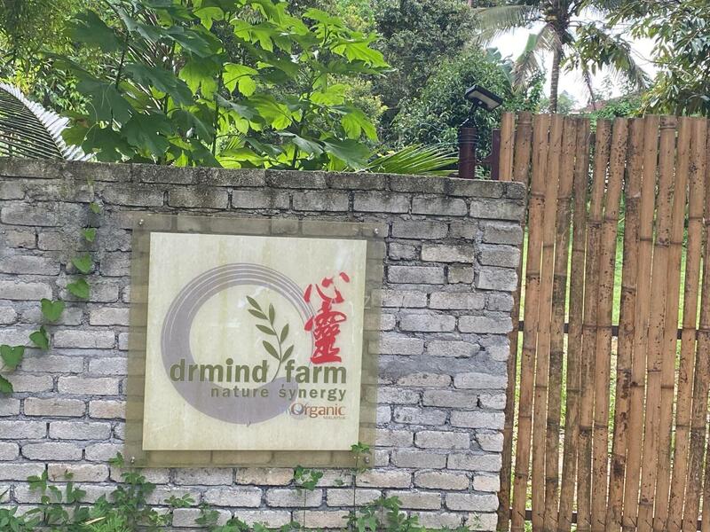 (Freehold, Berbukit)Tanah Pertanian 5.22 Ekar di Kg Peradong, Kuala Klawang, Jelebu, Negeri Sembilan untuk Untuk Dijual - RM 438,000, Apr 2026 - Exterior - PropertyGuru.com.my