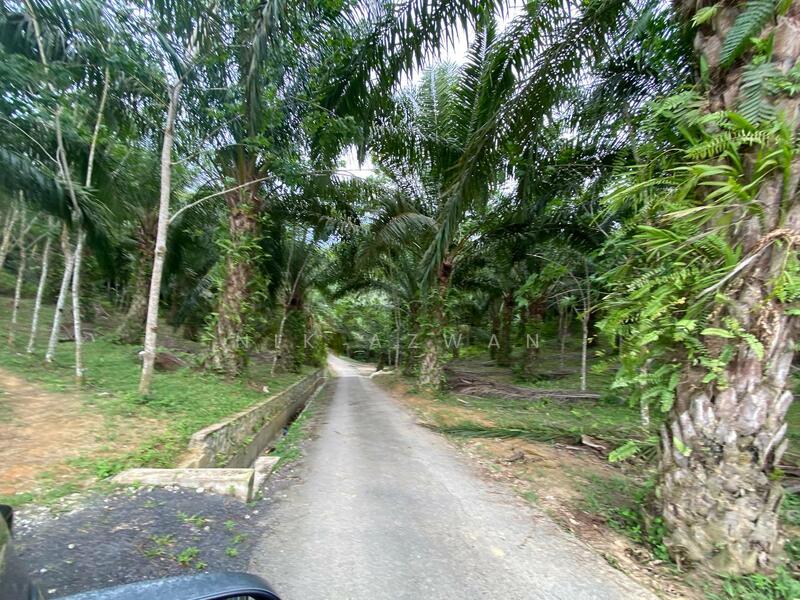 (Freehold, Berbukit)Tanah Pertanian 5.22 Ekar di Kg Peradong, Kuala Klawang, Jelebu, Negeri Sembilan untuk Untuk Dijual - RM 438,000, Apr 2026 - Exterior - PropertyGuru.com.my