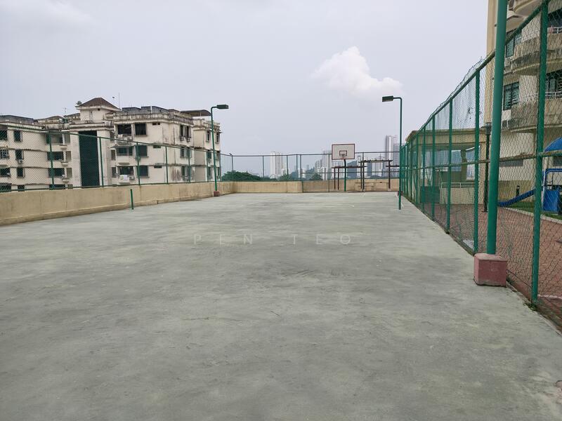 Net Ball Court