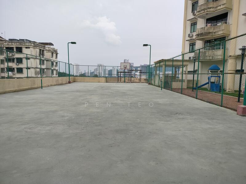 Net Ball Court