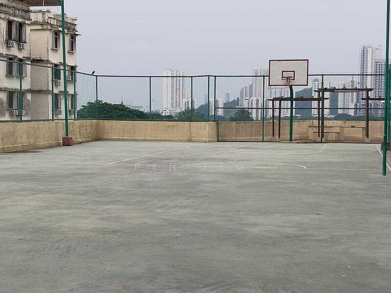 Net Ball Court