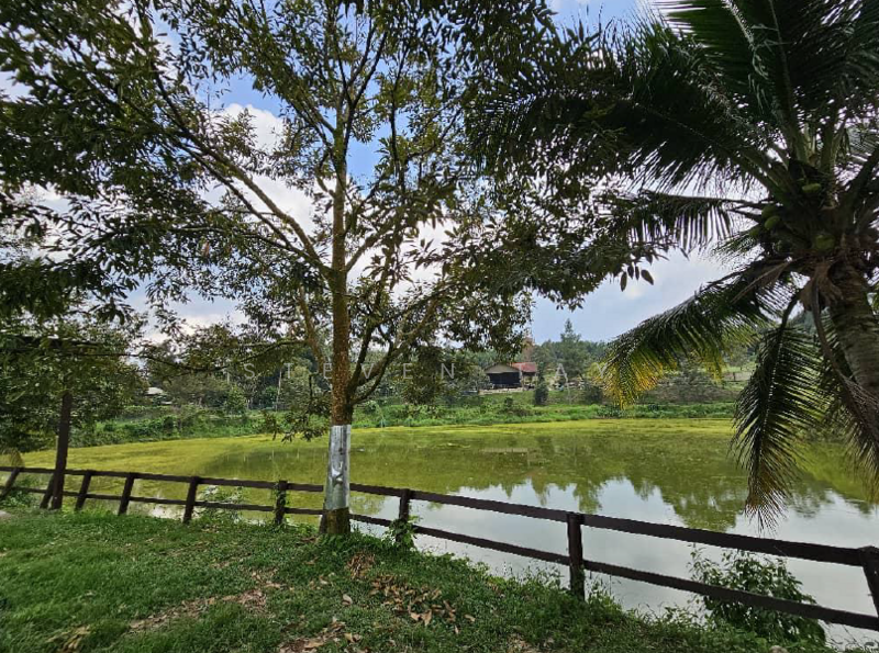 Agricultural Land for Sale in Kampung Baru Sungai Makau (Hulu Langat) - Steven Tay - Exterior - PropertyGuru.com.my