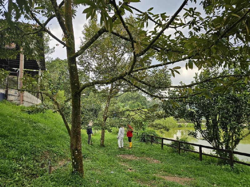 Agricultural Land for Sale in Kampung Baru Sungai Makau (Hulu Langat) - Steven Tay - Exterior - PropertyGuru.com.my