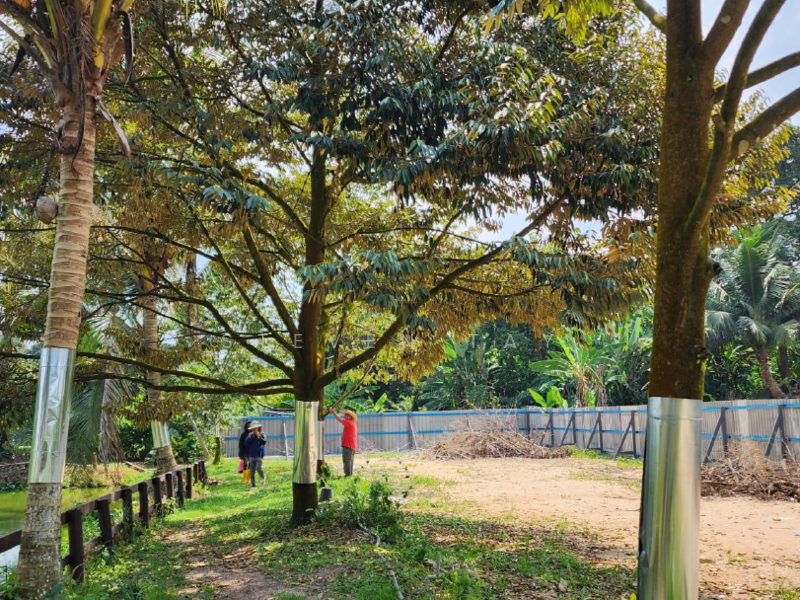 Agricultural Land for Sale in Kampung Baru Sungai Makau (Hulu Langat) - Steven Tay - Exterior - PropertyGuru.com.my