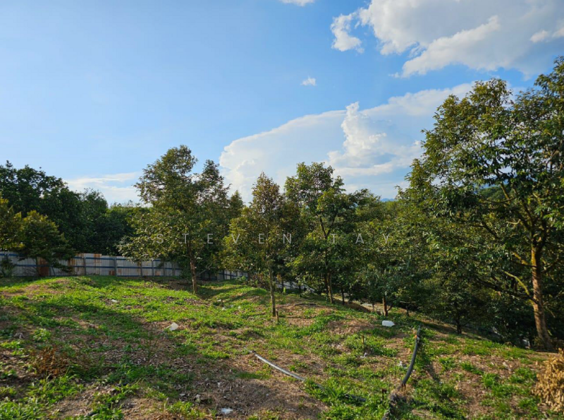 Agricultural Land for Sale in Kampung Baru Sungai Makau (Hulu Langat) - Steven Tay - PropertyGuru.com.my