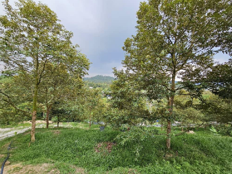 Agricultural Land for Sale in Kampung Baru Sungai Makau (Hulu Langat) - Steven Tay - Exterior - PropertyGuru.com.my