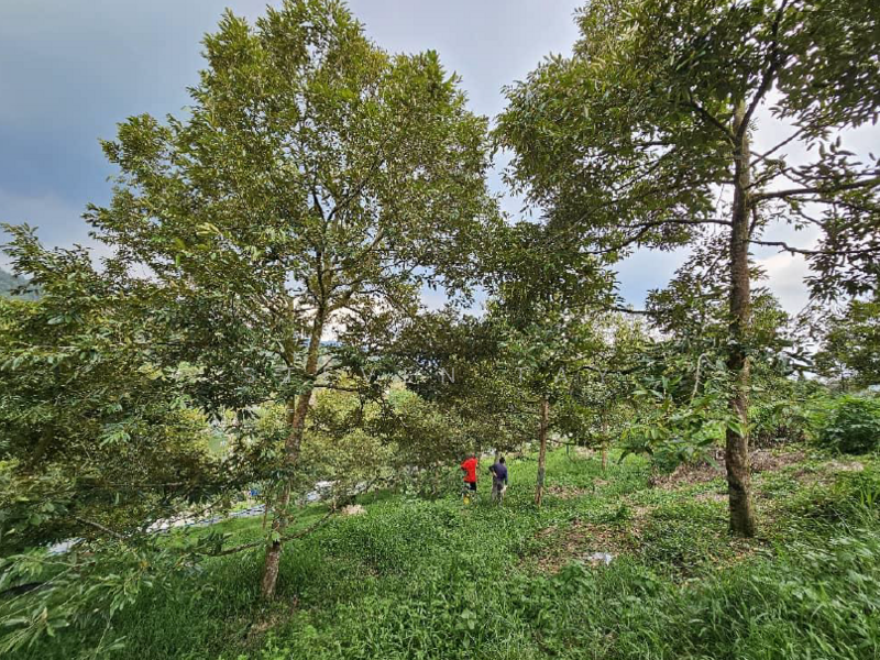 Agricultural Land for Sale in Kampung Baru Sungai Makau (Hulu Langat) - Steven Tay - Exterior - PropertyGuru.com.my