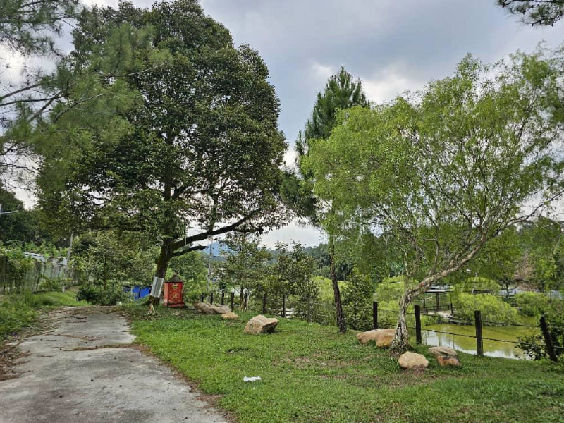 Agricultural Land for Sale in Kampung Baru Sungai Makau (Hulu Langat) - Steven Tay - Exterior - PropertyGuru.com.my