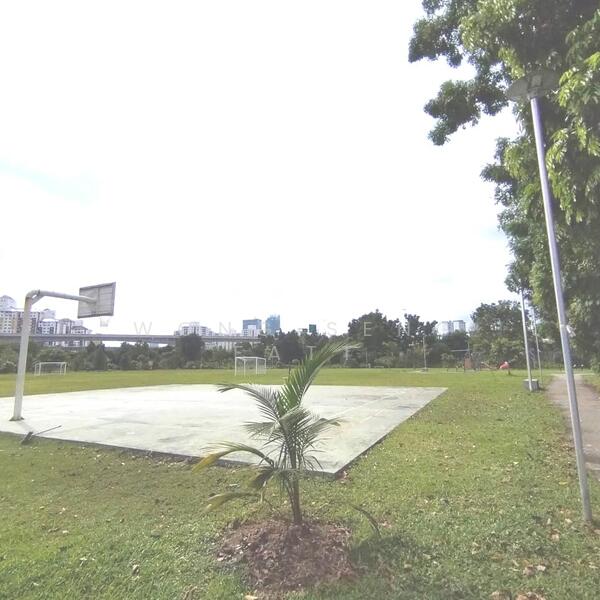 Basketball Court