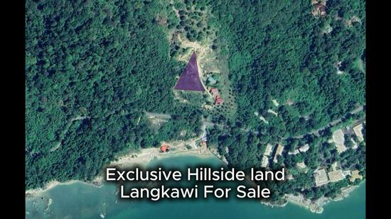 Agricultural Land for Sale in Padang Mat Sirat (Kedah) - Jik Wafa - PropertyGuru.com.my