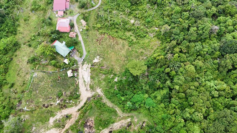 Agricultural Land for Sale in Padang Mat Sirat (Kedah) - Jik Wafa - Exterior - PropertyGuru.com.my