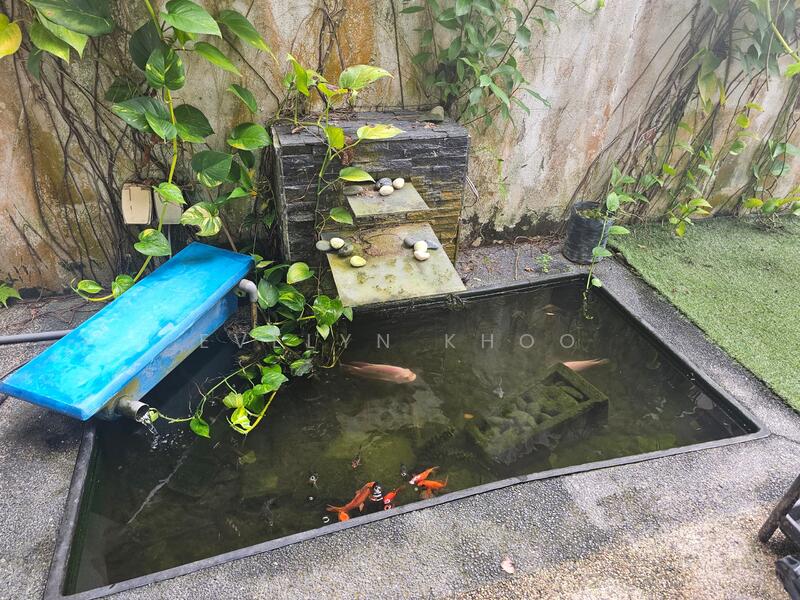 Mini Pond