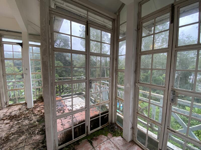 Patio Glasshouse