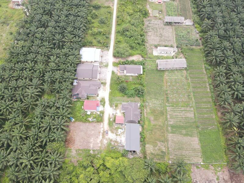 Untuk Dijual - Tanah Lot Banglo Jalan Tan Sri Mohamad Taib, Sungai Kembong, Pulau Indah