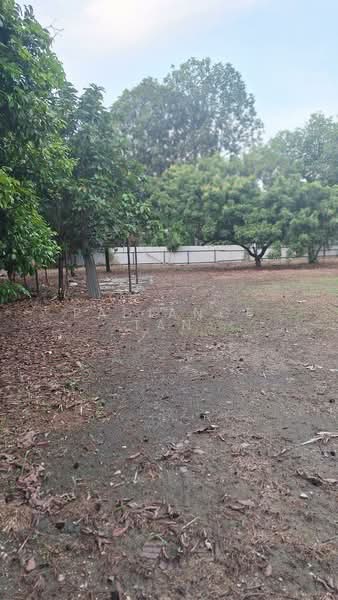 Untuk Disewa - Kayu Ara