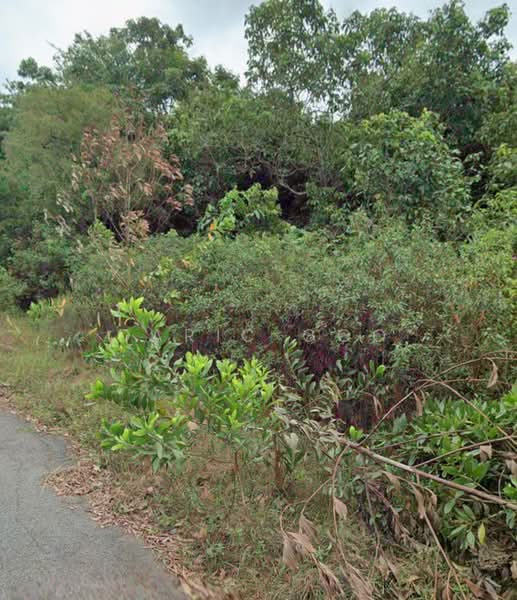 Industrial Land for Sale in Taman Perindustrian Alor Gajah (Alor Gajah) - Daric Goo - PropertyGuru.com.my