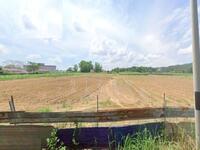 For Sale - Tanah Freehold Non Bumi 8.6 ekar Pinang Tunggal dekat Sg Petani