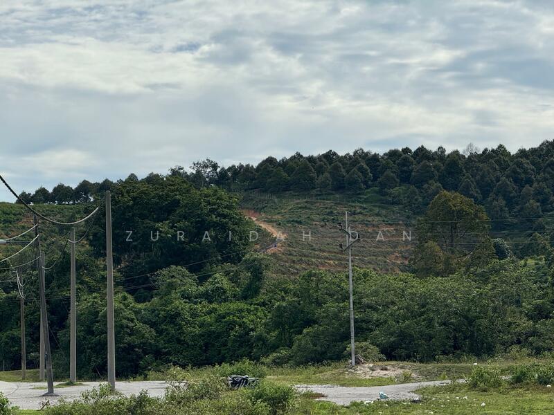 For Sale - Chenderiang, Batang Padang, Perak