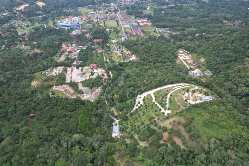 For Sale - Dusun Tua