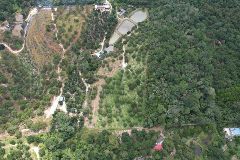 For Sale - Dusun Tua