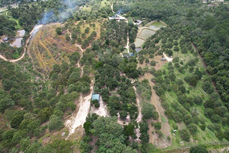 For Sale - Dusun Tua