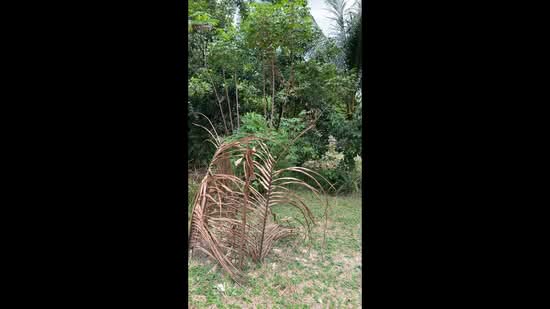 Residential Land for Sale in Bandar Baru Bangi (Selangor) - Esther Ng - PropertyGuru.com.my