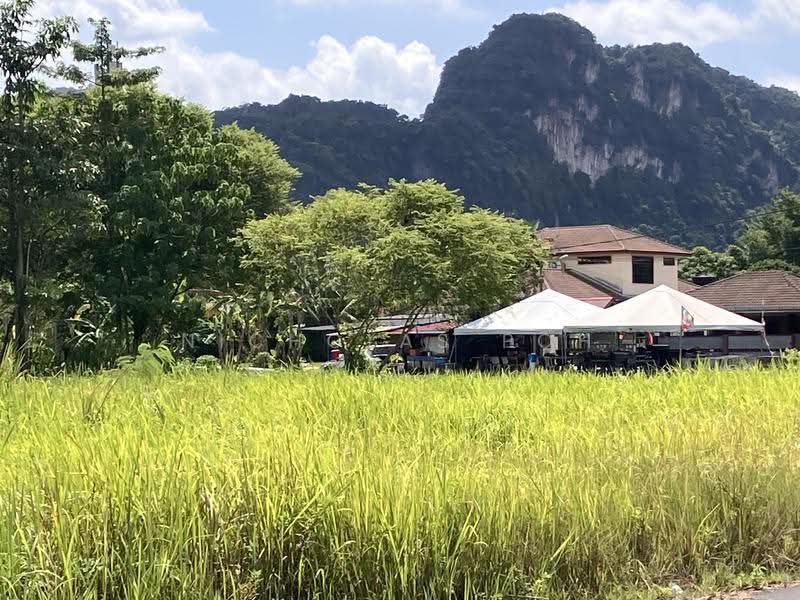 Commercial Land for Sale in Ipoh (Perak) - Nicholas Poh - Exterior - PropertyGuru.com.my