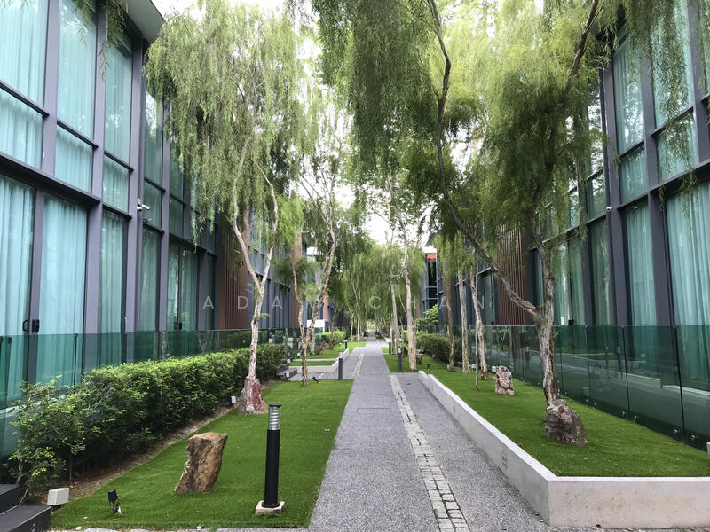Backyard Linear Garden