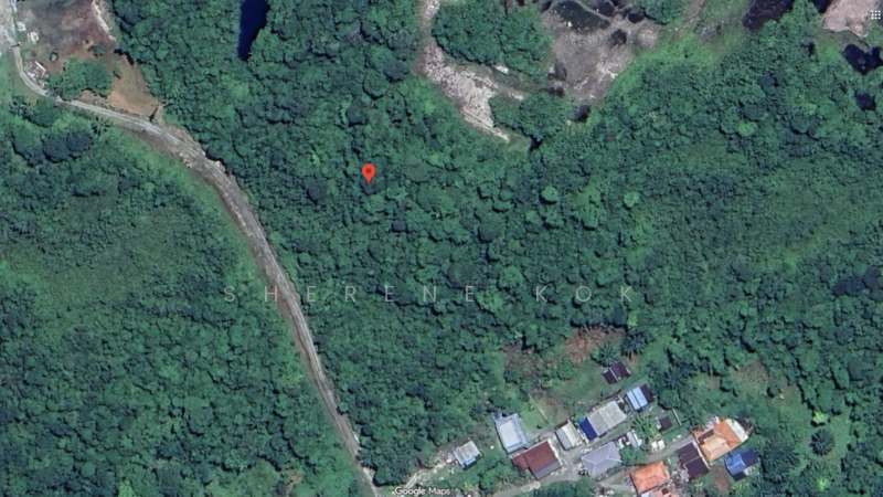 Agricultural Land for Sale in Matang (Kuching) - Sherene Kok - PropertyGuru.com.my