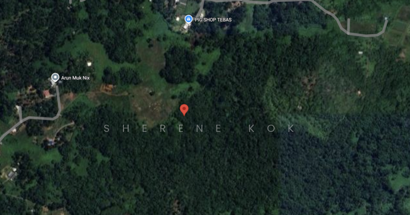 Tanah Pertanian untuk Dijual di Kuap (Kuching) - Sherene Kok - PropertyGuru.com.my